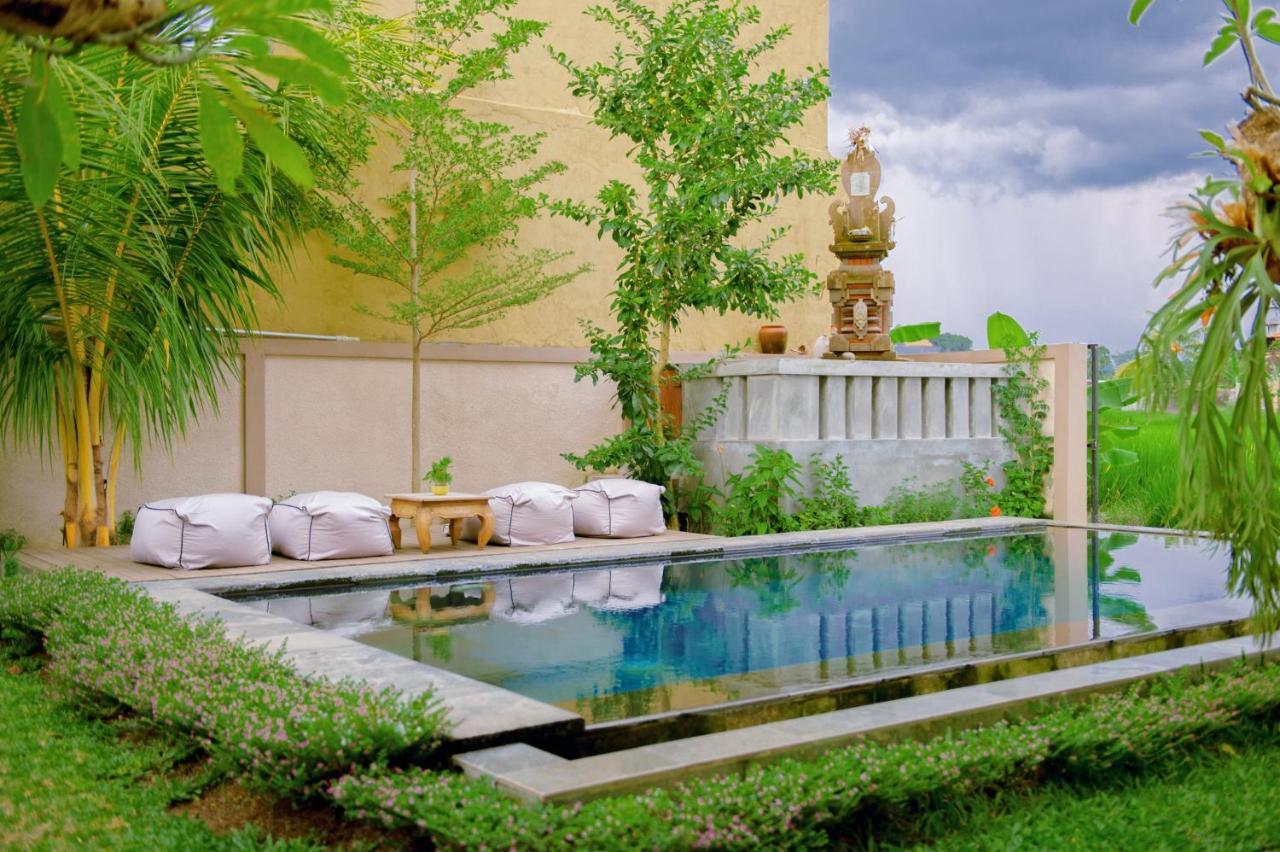 Villa Lucky House